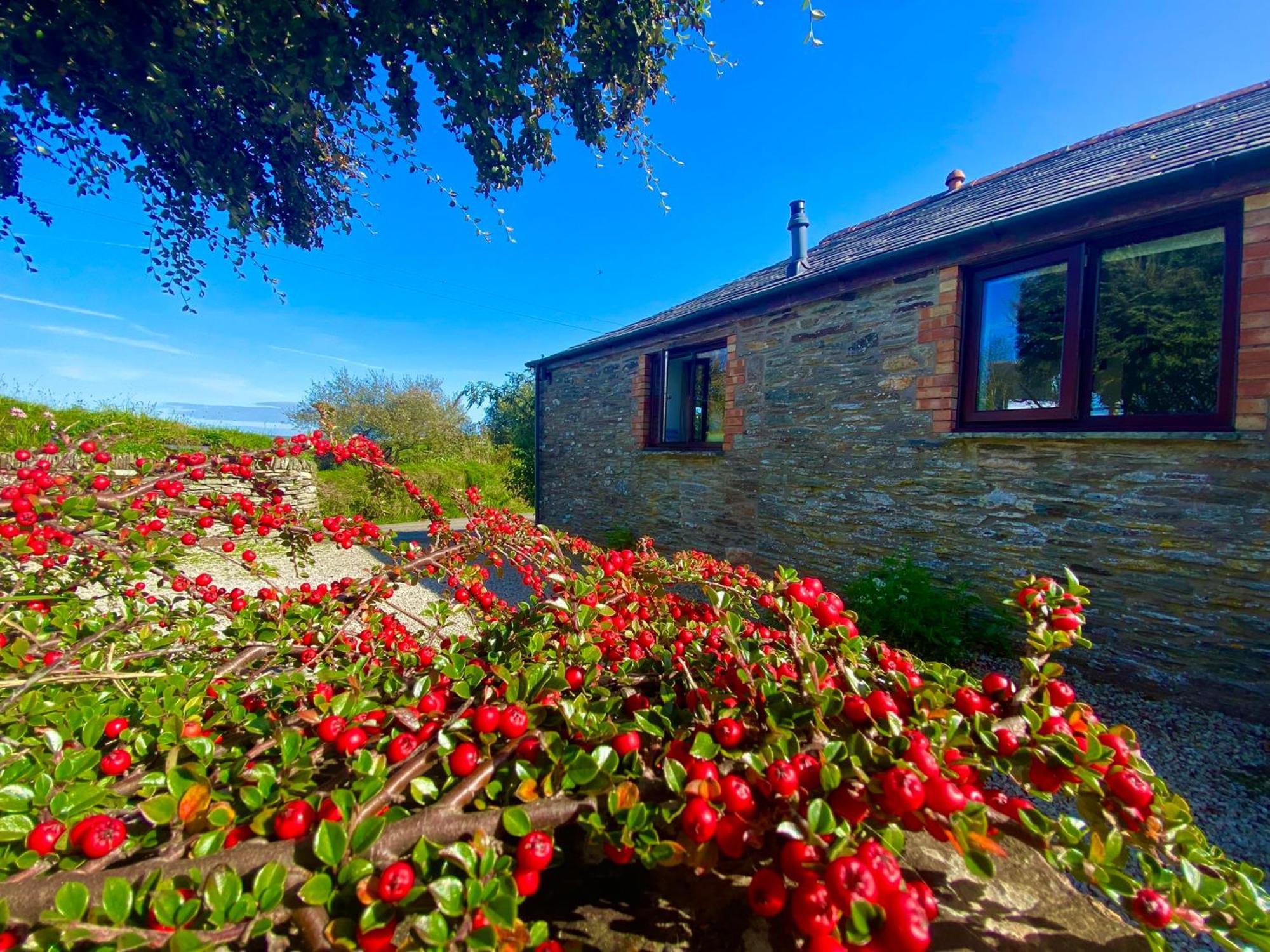 Polrunny Farm Elderberry Cottage With Sea View Боскасл Экстерьер фото